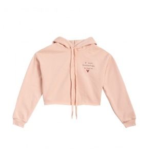 ISO Taylor Swift Peach Crop Hoodie